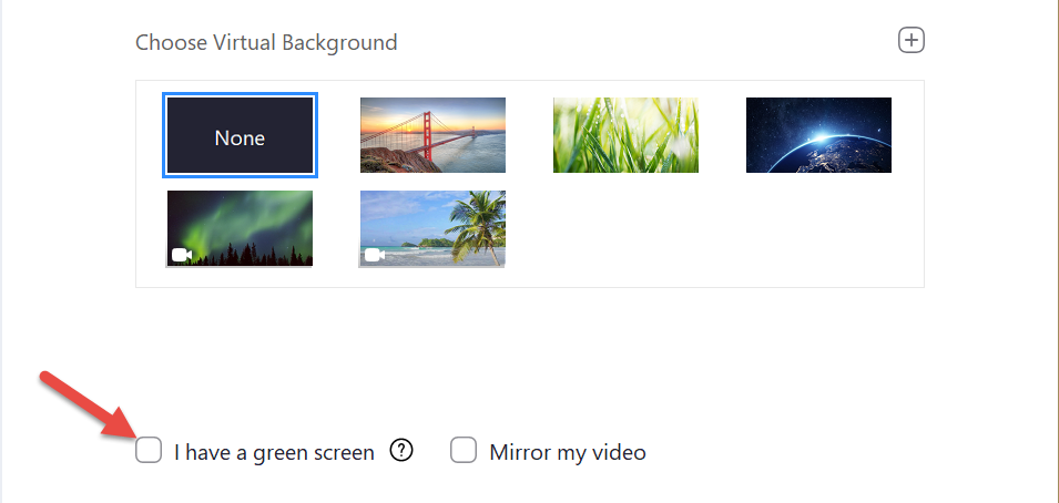 Zoom Green Screen Checkbox